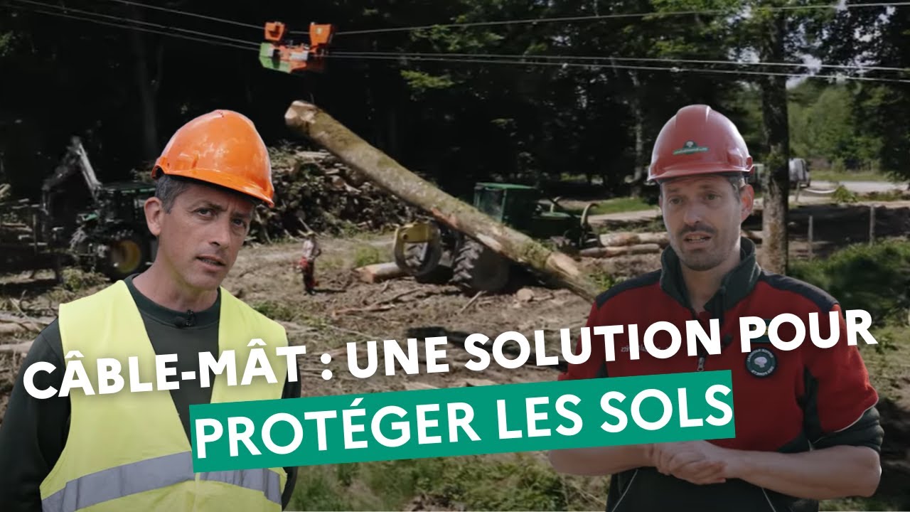 Découverte d'un chantier de débardage par câble