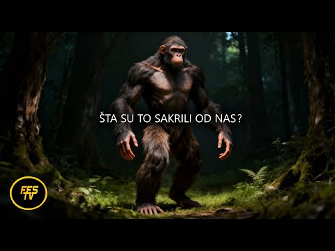 Priča kakvu nikada niste čuli - Najveća enigma našeg doba