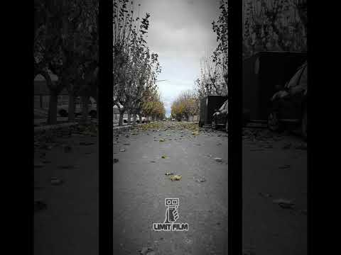Otoño 🍁 2026 Angaco San Juan Argentina   #paisajes #seguidores