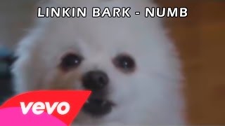 Linkin Park - Numb (Animal Cover)