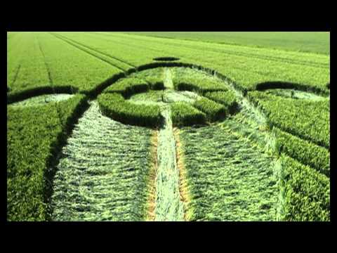 Netherlands 2014 crop circles: Standdaarbuiten June 26