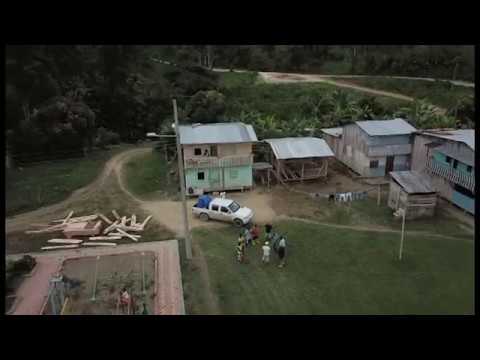 download lagu mp3 mp4 Green Empowerment, download lagu Green Empowerment gratis, unduh video klip Green Empowerment