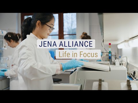 Jena Allianz – Life in Focus