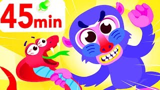 Walking In the Jungle Boogie, Baby Panda Bear, Tiger Boo Boo, Snake, Silly Baboon by Little Angel