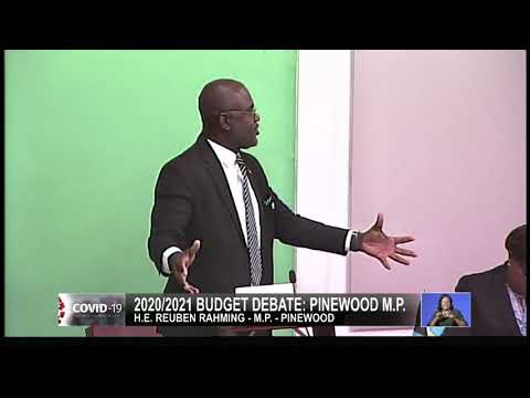 2020/2021 Budget Debate: Pinewood M P