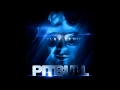 Pitbull - Planet Pit - 10. Took My Love ( feat. Red Foo, Vein, David Rush, LMFAO)
