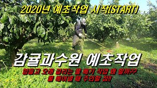 풀을 제거합니다...2020예초작업, 예초작업시 주의할점, 예초를 하는 이유??!!