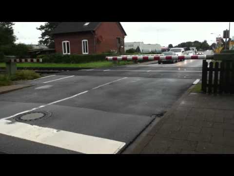 Zug in Harrislee von Padborg (DK) nach Flensburg