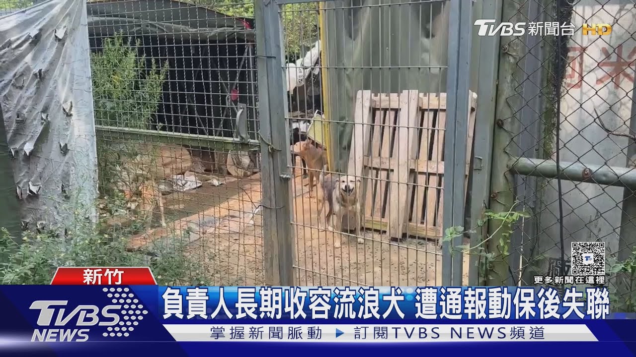 新竹狗園慘劇!十隻犬慘死籠中「僅剩白骨」 負責人失聯