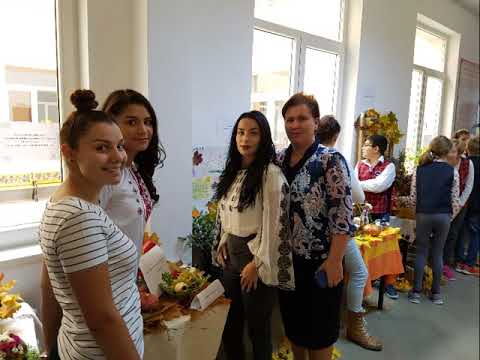 Școala 4 Vatra Dornei