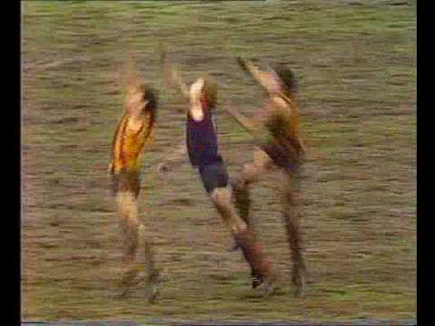 VFL Football R11 1989 - Hawthorn v Melbourne