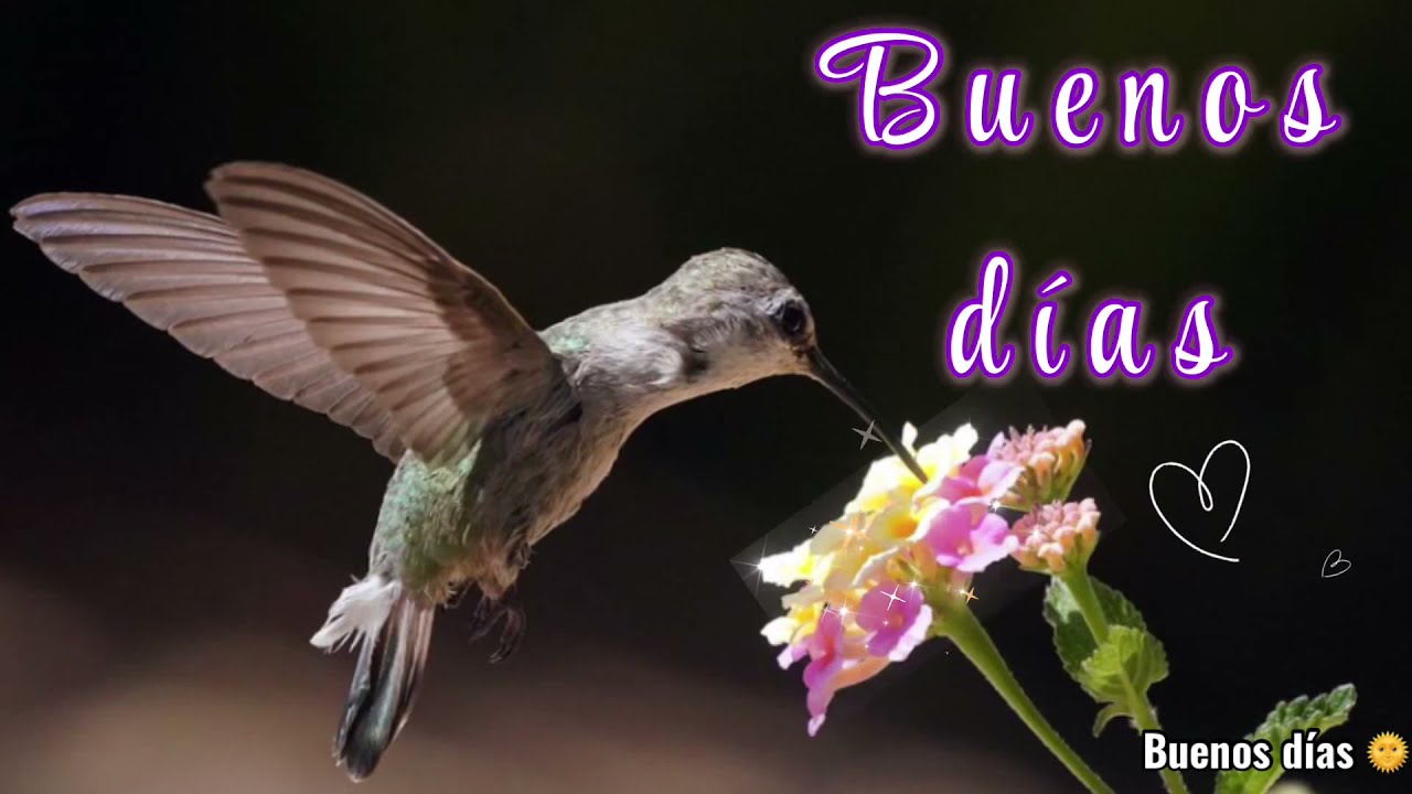 Buenos días❤️Motivación para la mañana🌹Frases positivas para empezar bien el día.Feliz día .Saludos