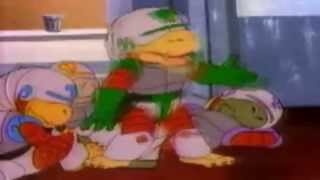 CRANES LILIES VIDEO HD