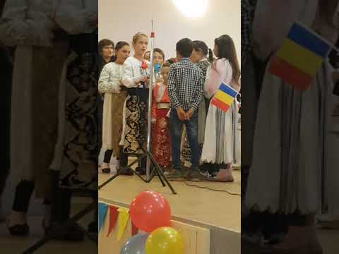 Denisa serbare Ohaba Lungă 2018