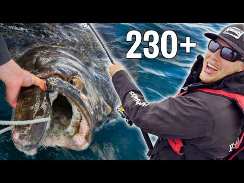 MONSTER HALIBUT on Senja, Norway