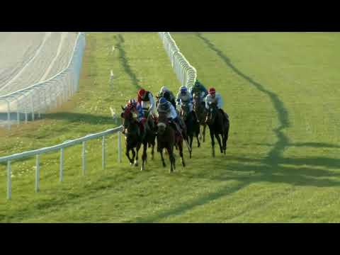 2017.10.01. 8. futam - MAGYAR ST. LEGER (HUN Gd-2) (NGL - X.)