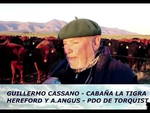 AIRE DE CAMPO . OFICIAL  - GUILLERMO CASANO - CABAÑA LA TIGRA PARTIDO DE TORQUIST
