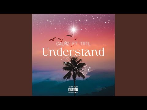 Understand (feat. Trtl)