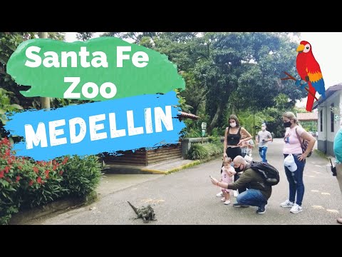 Zoológico Santa Fe | The Medellin Colombia Zoo Experience | Come With Me On A Trip To The Zoo