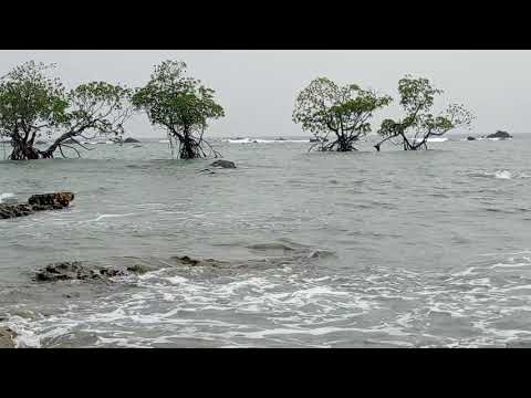 Bridgeganj beach | Andaman and Nicobar Islands tourism video | Andaman tourism official video | A&N