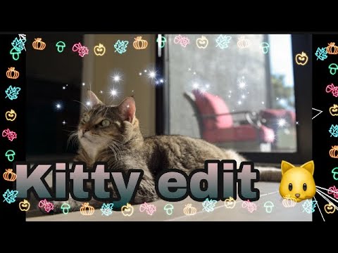 Kitty edit!