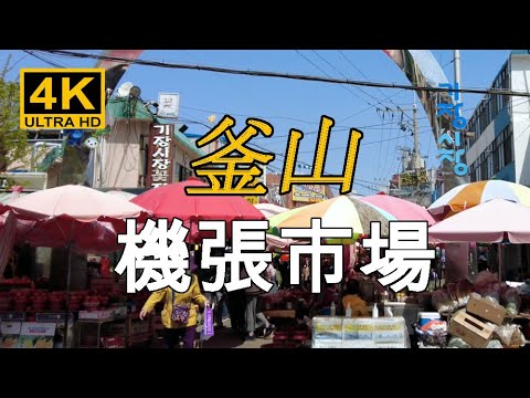 [Coreia] No sábado, peguei o trem da Linha Donghae e visitei o Mercado Busan Gijang, que é famoso pelos caranguejos da neve, peixes salgados e vários frutos do mar. Ponto turístico Nampo-dong Distrito da luz vermelha Mercado internacional Mercado Bupyeong Mercado noturno Myeong-dong Viagem Área de entretenimento no centro Bar Bar [4K]