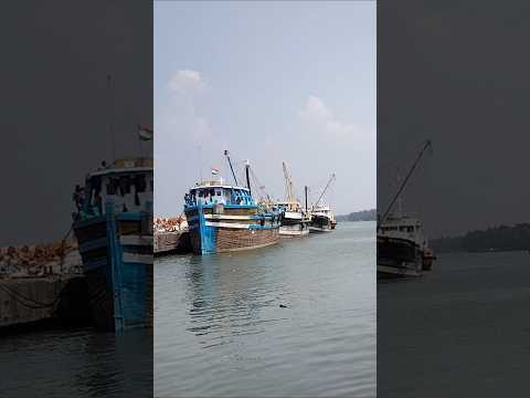 Port view #beach #nature #enjoyeverymomentofyourlife #travel #backyardgardening #gardening #train