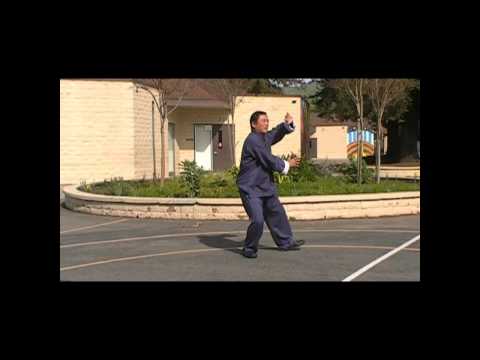 Gary Lam push hand demo