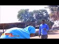 Shinkafar Dari Nonon Hamsin Gaskiya Babulaye Iskancinka Yayiyawa