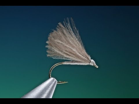 Fly tying for Beginners F-Fly with Barry Ord Clarke