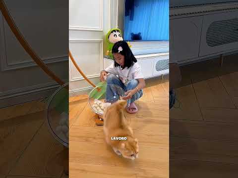 Pensavano fossero uova di tartaruga... ma erano bollite!