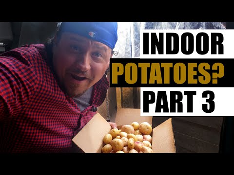 Why Raised Garden Beds Are Better