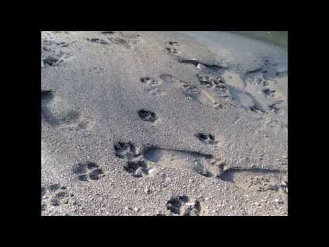 Kesh G Beatz - Two beats in one