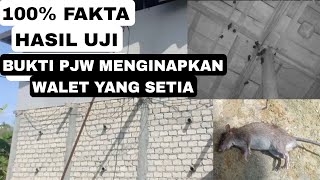 Download lagu BUKTI SP PJW MENGINAPKAN  WALET YANG SETIA #walettison #rbw #pjw mp3