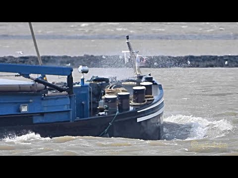 Binnenschiff GMS CARESSA BJ 1930!! riverbarge PB3149 MMSI 244710505 Emden