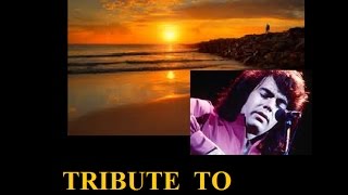 TRIBUTE  TO NEIL DIAMOND