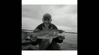 Chug Bug Saturday Susquehanna Stripers