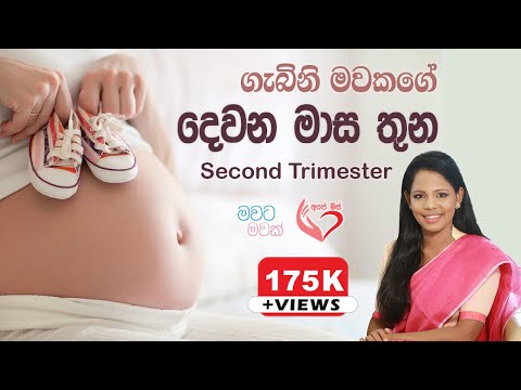 ගැබිණි මවගේ දෙවන මාස තුන second three months of pregnancy | Ape Miss - අපේ මිස්