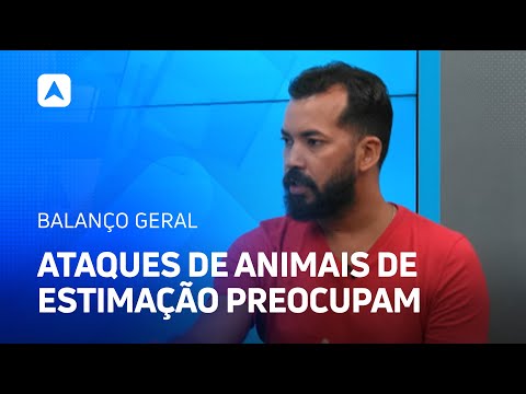 Ataques de animais de estimação preocupam quanto ao convívio; veja como evitar esse tipo de acidente