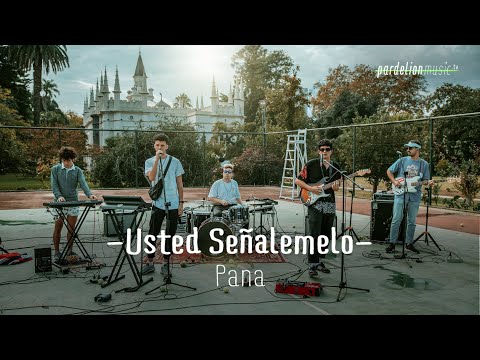 Usted Señalemelo - Pana (4K) (Live on Pardelion Music)