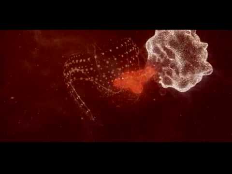 zera intrigue blogCD