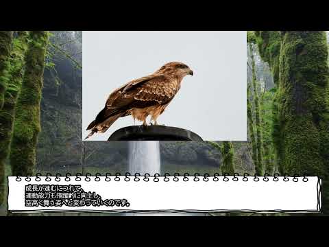 半分人間、半分猿:研究者が物議を醸すハイブリッド生物を作成