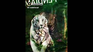 Download lagu story WhatsApp. ciri ciri orang mempunyai khodam ini mp3