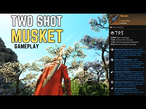 INSANE TWO SHOT PvP Musket in New World Season 10!