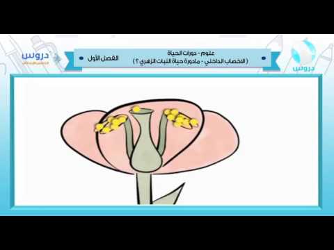 الخامس الابتدائي | الفصل الدراسي الأول 1438 | علوم | دورات الحياة (النبات الزهري)