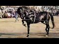 Black Horse Dance