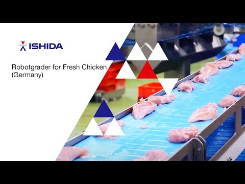Robotgrader handling fresh chicken pieces (Germany)