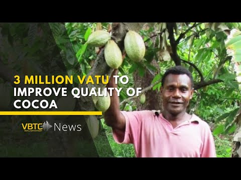 France support with 3 million vatu to improve cocoa quality in Vanuatu | VBTC News