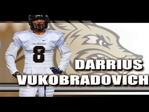 Darrius-Vukobradovich