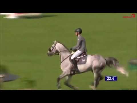 MUMBAI: Ludger Beerbaum's stallion by Diamant de Semilly, www.equine-evolution.com